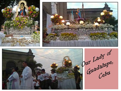 Our Lady of Guadalupe of Cebu at GMP 2009