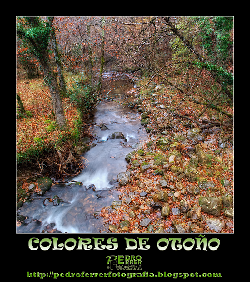 Colores de Otoño - Autumm colours