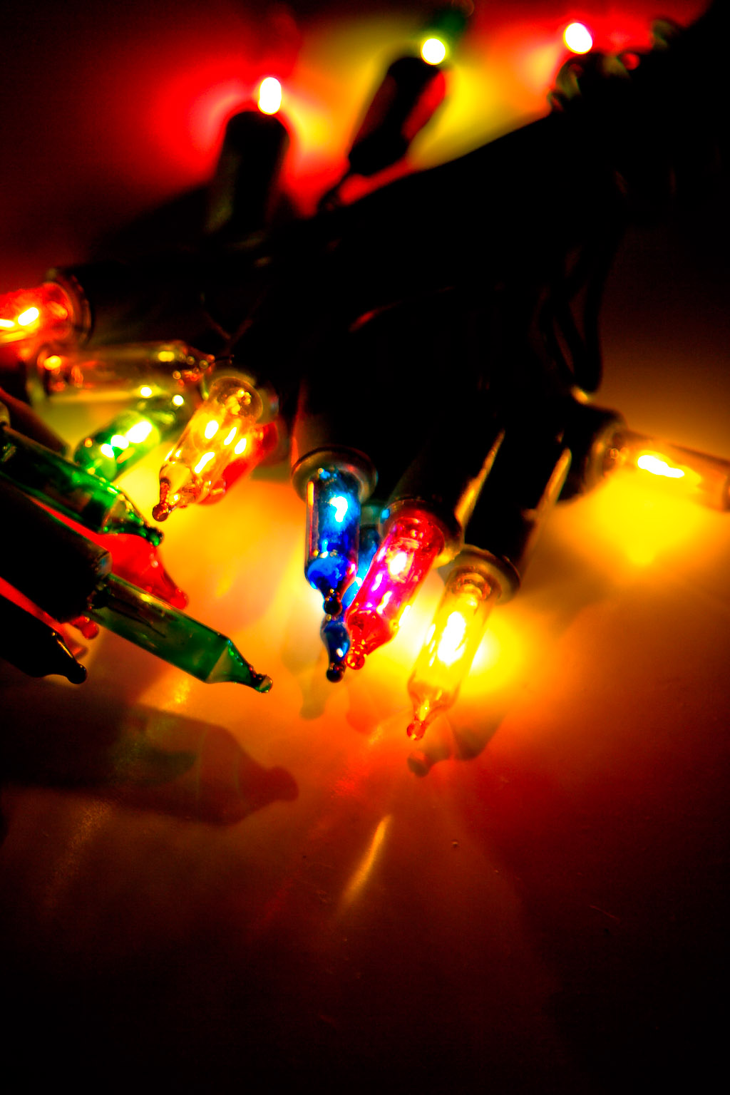Christmas Light Shenanigans (Blog size)