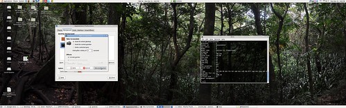 Widescreen Ubuntu with Wallpaper