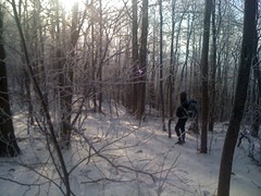  John in Snowy Woods