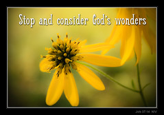 God's Wonders