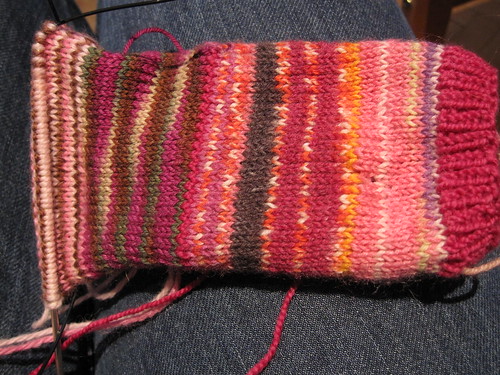 Double knit socks