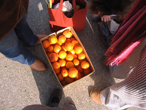 box of seville oranges from the farmer's market