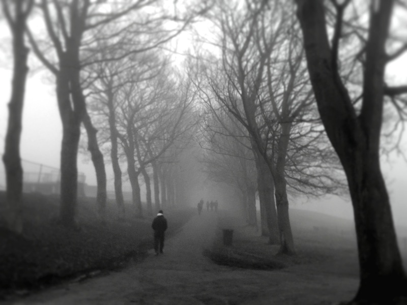 Lunchtime fog - 1/19/10 (19/365)