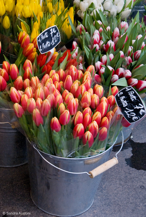 Flower market, Paris