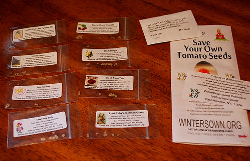 Tomato seeds from Wintersown