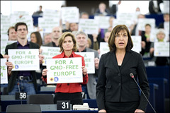 A GMO question to EC President Barroso
