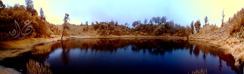 Ranupani Lake (IR)