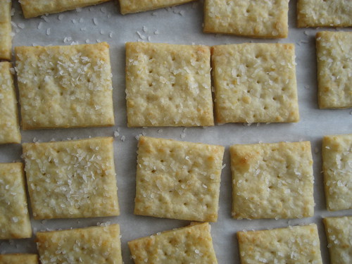 parmesan crackers.