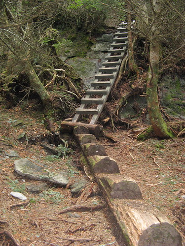 Ladder to Calloway Peak