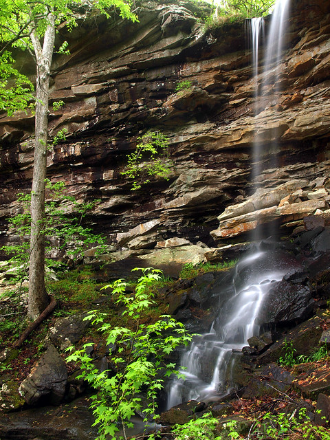 Lonesome Hollow Falls