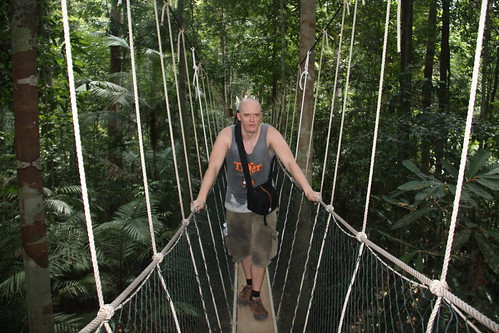Sweaty Hubbers, Jungle canopy walk, Taman Negara National Park, Malaysia