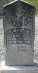 Susan A Pitman Albea