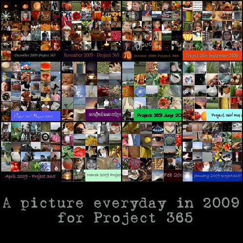 Project 365 Mosaic