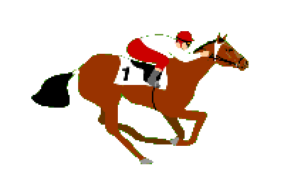 horse racing gif