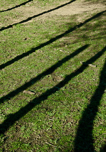 Long Shadow - 229/365 - 24 January 2010