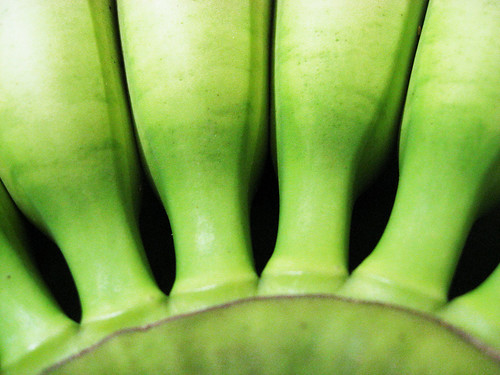 Green Banana Patterns