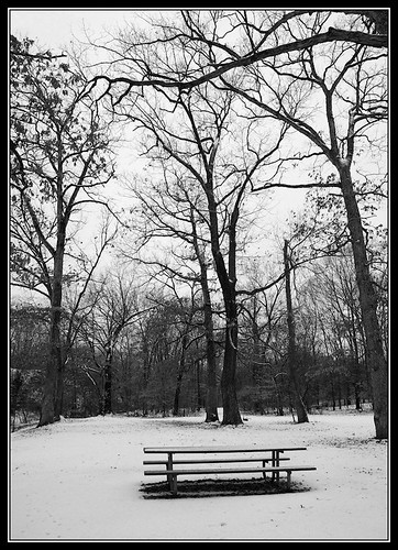 Snow bench ilford bw (by Silver Image)