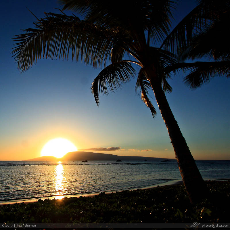 Maui by Elisa Sherman | photosbyelisa.com