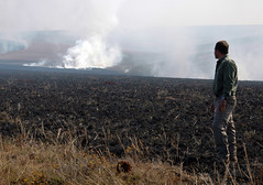 Controlled Burning, Nyika National Park