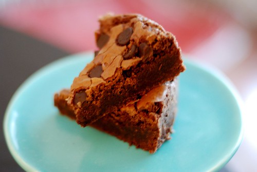 Extremely Chocolate-y Brownies