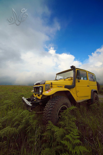 Our Bromo Jeep