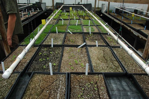 Propagation Greenhouse, Greenbelt Native Plant Center