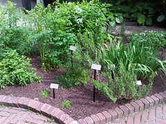 Benjamin Rush Medicinal Plant Garden