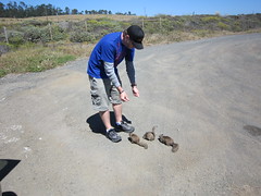 Tim was like Dr. Doolittle for the ground squirrels. (06/06/2010)