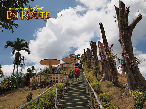 Bohol Chocolate Hills Stairs