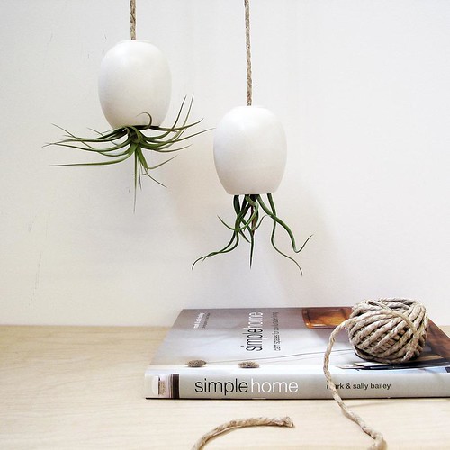 matte white hanging air plant pods