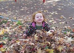 toddler in colorful coat sitting in a pile of leaves