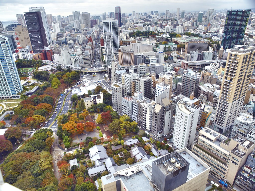 Japón en Otoño - Blogs de Japon - Descubriendo Tokio (3)