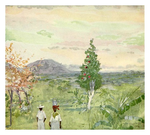 029-Por la tarde despues de la lluvia en Jamaica-The West Indies 1905- Ilustrations Archibald Stevenson Forrest