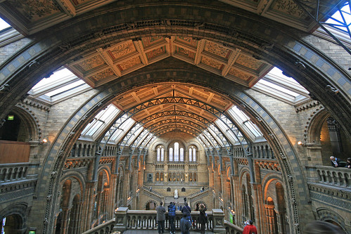 The Great Hall, Natural History Museum 