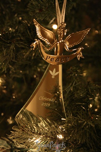 Our 2009 ornament