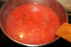 Simmering Tomato (Photo by Frances Wright)