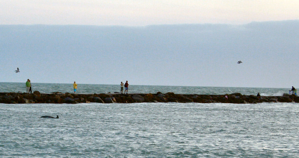 20060309_north jetty thursday_005 cropped