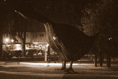A Giant Goose in the Darkness of the Night