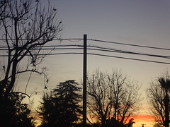 25/365: January 25, 2010 - Powercords at Sunrise