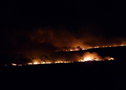 P1040100 - Grass fire at Llangennith, Gower