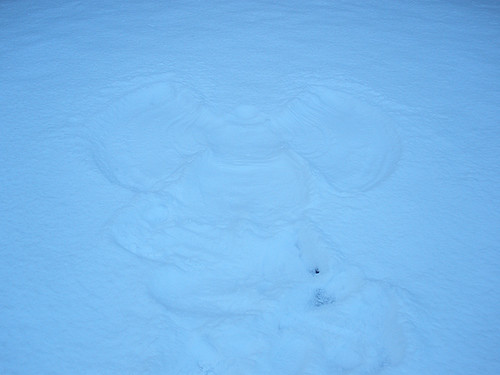 Snowy January spin (snow angel stop..)