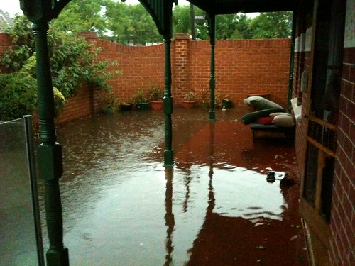 Flooded yard