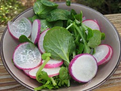 radish and watercress salad