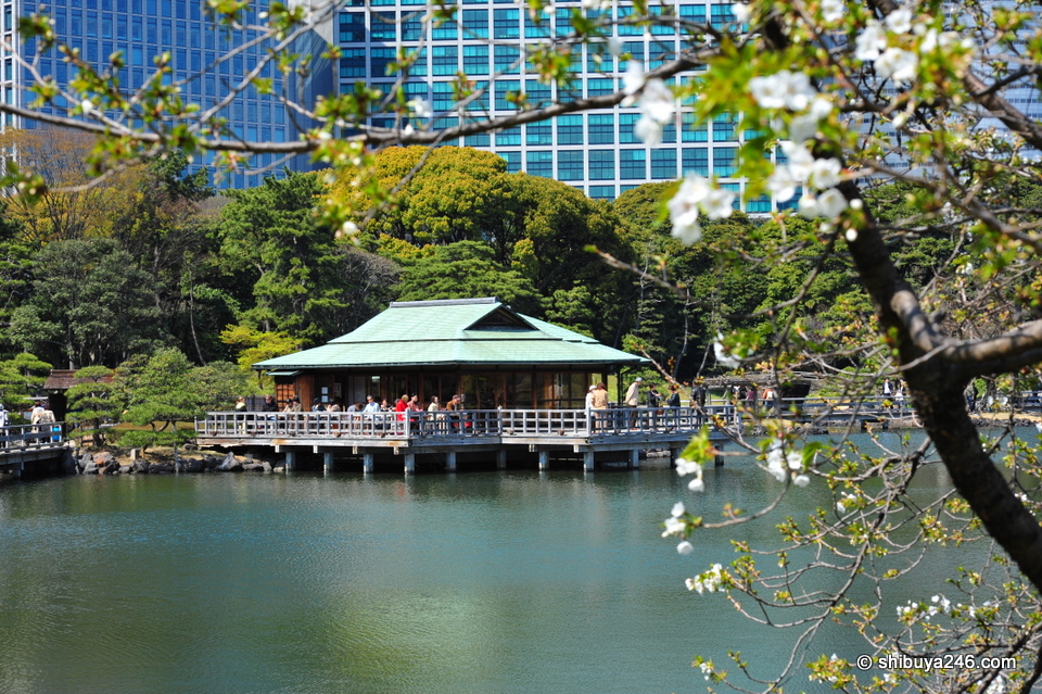 The tea house where you can experience the traditional Japanese tea ceremony for Yen 500.
