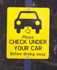 Check under your car