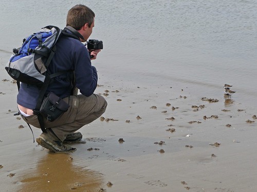 12390 - Me Photographing Dunlin