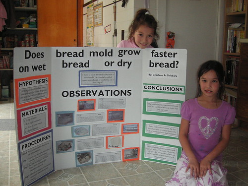 Cool Ideas For Science Fair Projects. Science Fair Project ideas
