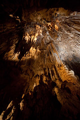 Hastings Caves